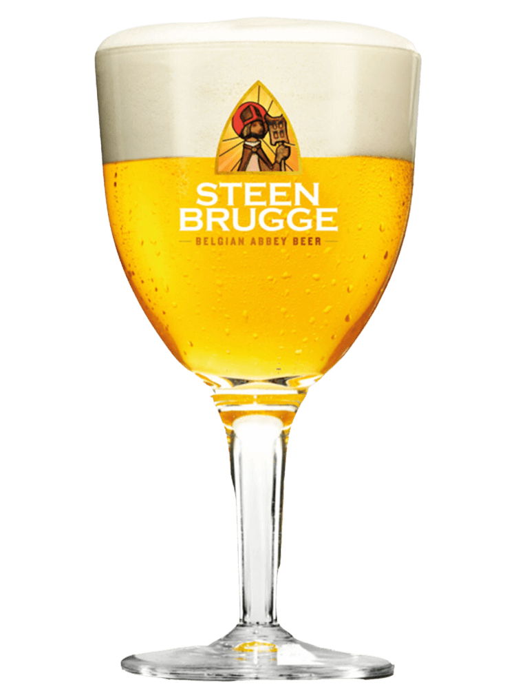 Steen Brugge pohár