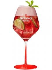 Rodenbach Fruitage pohár