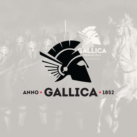 Gallica Extra Pils I 30L hordó