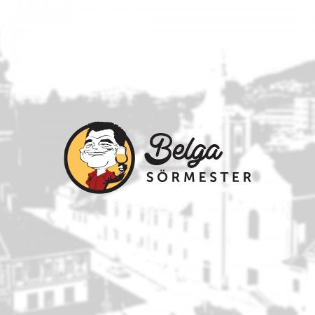 Taste Belgium 3*0,33L, 1*0,25L Taste Belgium 3*0,33L, 1*0,25L