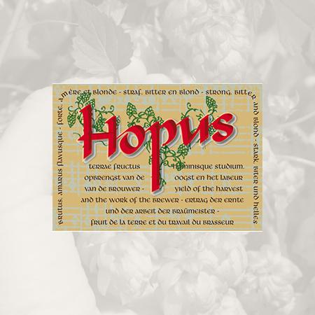 Hopus