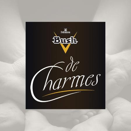 Bush de Charmes 0,75l