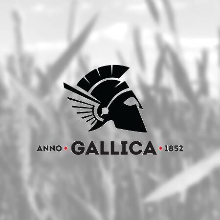 Gallica Premium Pils Dobozos