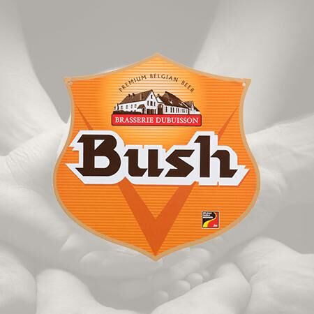 Bush Caractere (Ambrée) (24x0,33l) Papírkartonban